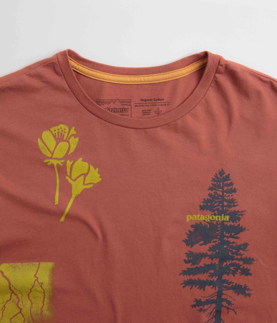 Patagonia Men's Pyrophytes Organic Cotton T-Shirt – Sustainable & Comfortable