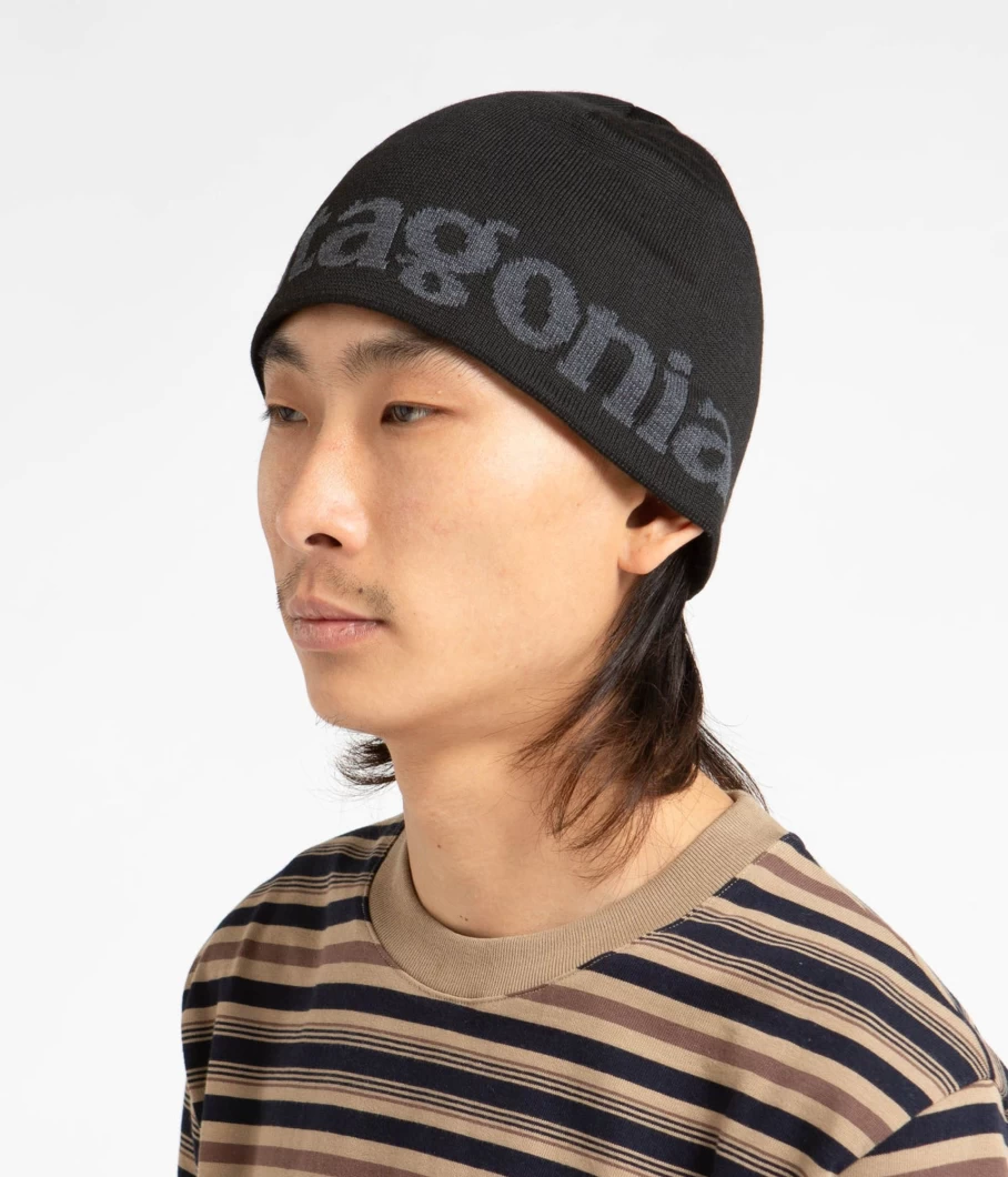 Patagonia Men's Beanie - Warm Winter Hat for Outdoor Activities